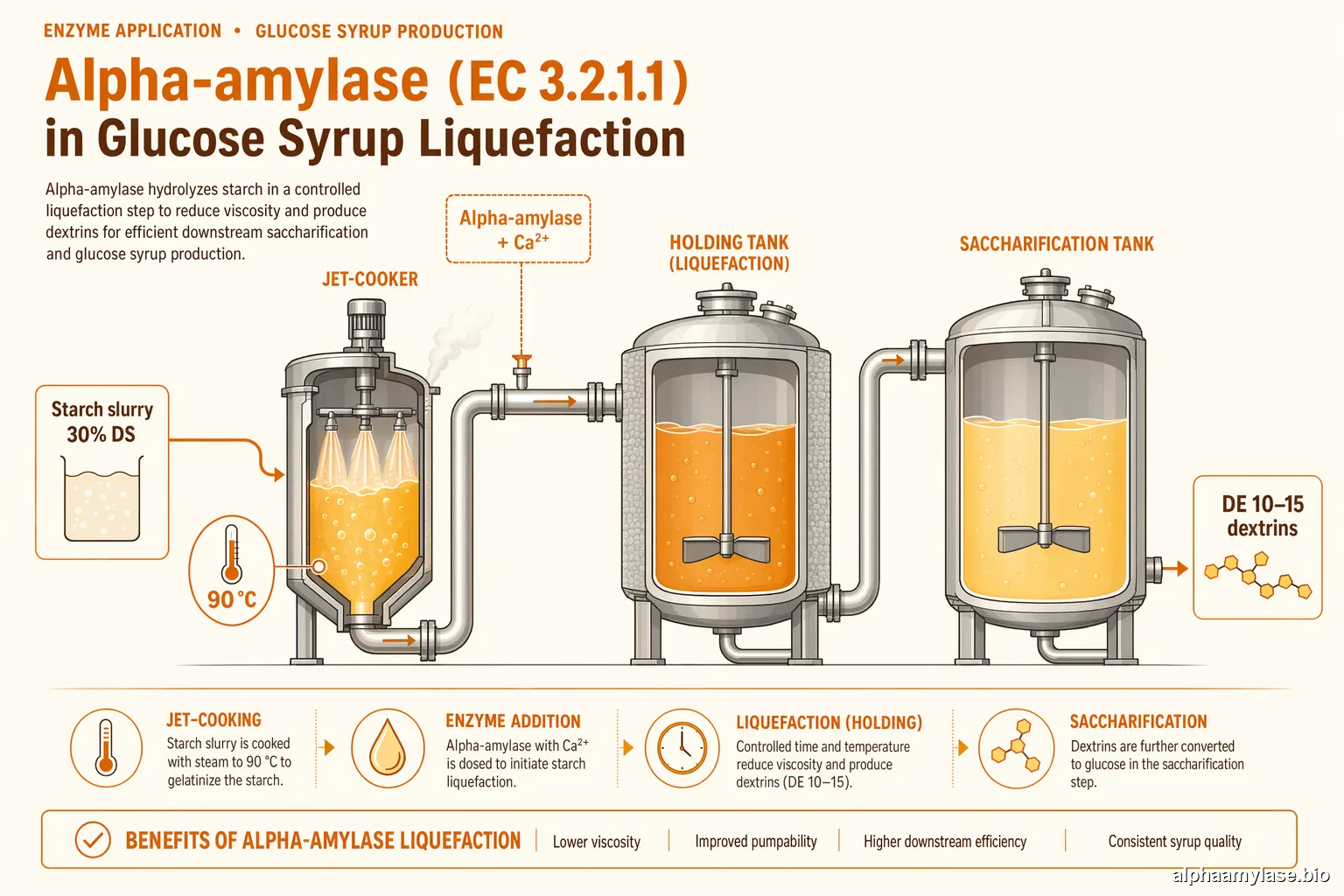 Alpha Amylase for Glucose Syrup Production — Industrial Liquefaction