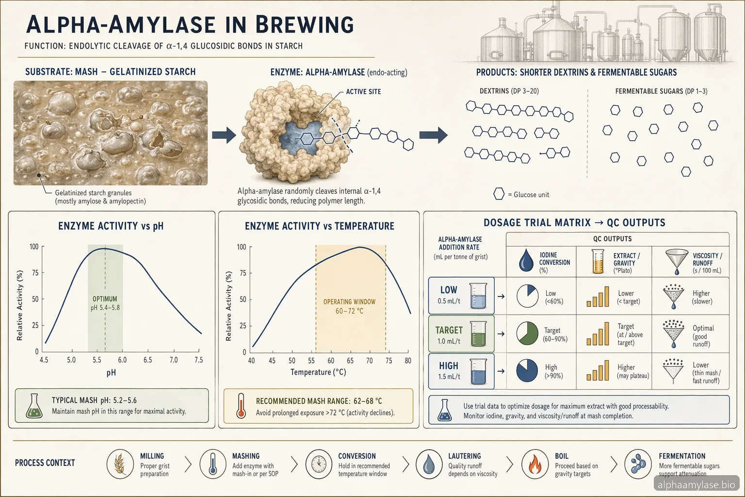 Alpha Amylase Enzyme Brewing: Dosage, pH, and Temperature Troubleshooting — process diagram